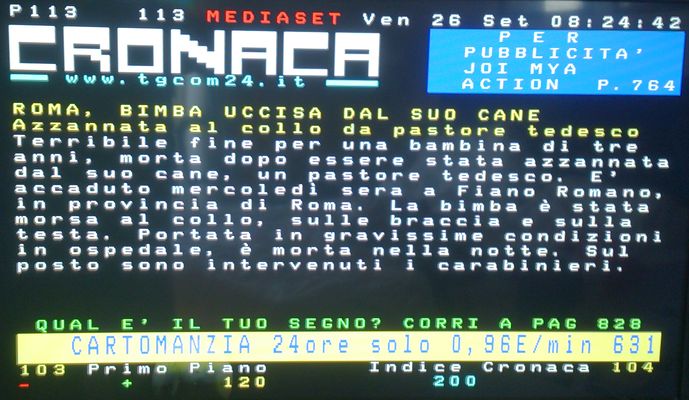 Bambina 3 anni uccisa da cane