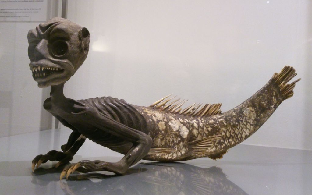 Pseudosirena